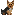 Kilabyte the dog